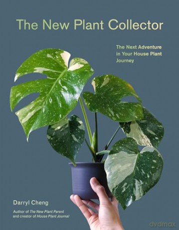 The New Plant Collector: The Next Adventure in Your House Plant Journey - Darryl Cheng [KSIĄŻKA]