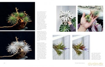 The New Plant Collector: The Next Adventure in Your House Plant Journey - Darryl Cheng [KSIĄŻKA]