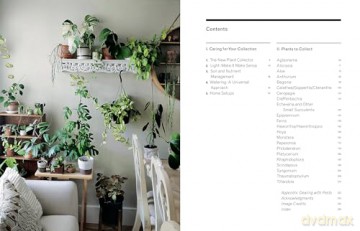 The New Plant Collector: The Next Adventure in Your House Plant Journey - Darryl Cheng [KSIĄŻKA]