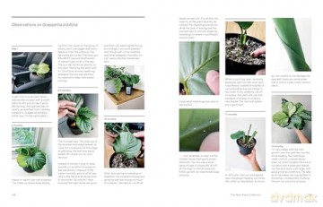The New Plant Collector: The Next Adventure in Your House Plant Journey - Darryl Cheng [KSIĄŻKA]