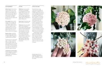 The New Plant Collector: The Next Adventure in Your House Plant Journey - Darryl Cheng [KSIĄŻKA]