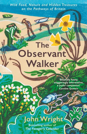 The Observant Walker: Wild Food, Nature and Hidden Treasures on the Pathways of Britain - John Wright [KSIĄŻKA]