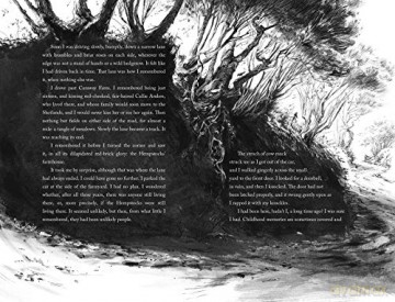 The Ocean at the End of the Lane (Illustrated Edition) - Neil Gaiman [KSIĄŻKA]