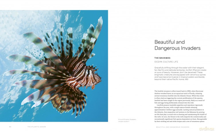 The Ocean Speaks: A photographic journey of discovery and hope - Matt Porteous [KSIĄŻKA]