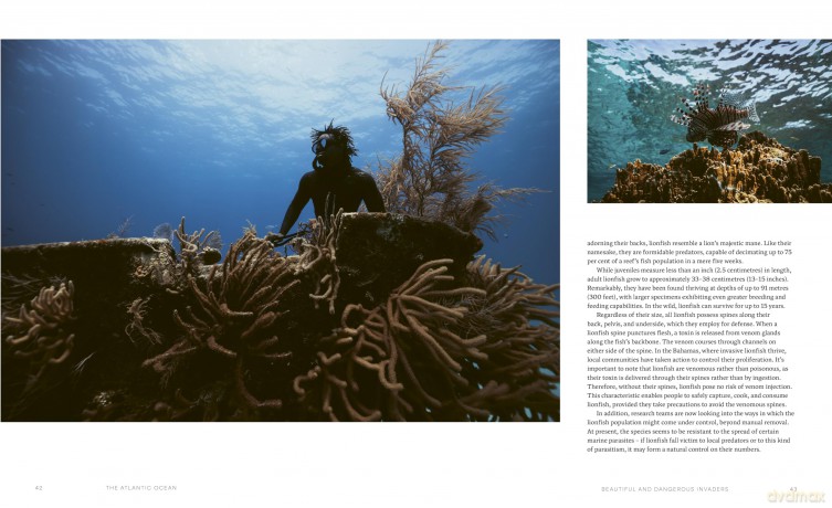 The Ocean Speaks: A photographic journey of discovery and hope - Matt Porteous [KSIĄŻKA]