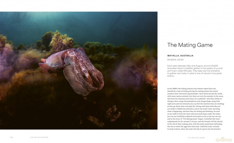 The Ocean Speaks: A photographic journey of discovery and hope - Matt Porteous [KSIĄŻKA]
