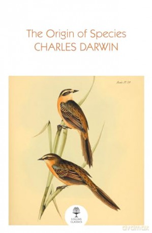 The Origin of Species (Collins Classics) - Charles Darwin [KSIĄŻKA]