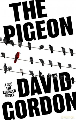 The Pigeon - David Gordon [KSIĄŻKA]