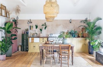 The Plant Parent Guide: Create a beautiful, plant-filled home - Beth Chapman [KSIĄŻKA]
