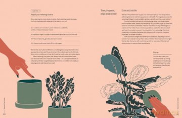 The Plant Parent Guide: Create a beautiful, plant-filled home - Beth Chapman [KSIĄŻKA]