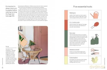 The Plant Parent Guide: Create a beautiful, plant-filled home - Beth Chapman [KSIĄŻKA]