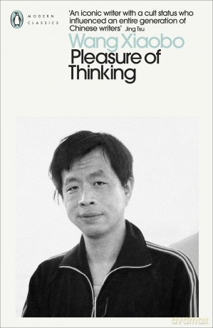 The Pleasure of Thinking (Penguin Modern Classics) - Wang Xiaobo [KSIĄŻKA]