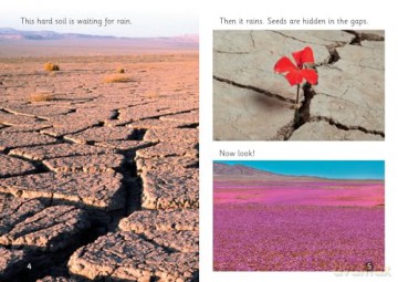 The Power of Rain: Phase 3 Set 2 (Big Cat Phonics for Little Wandle Letters and Sounds Revised - Age 7+) - Liz Miles [KSIĄŻKA]