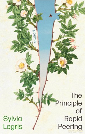 The Principle of Rapid Peering - Sylvia Legris [KSIĄŻKA]