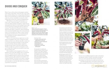 The Propagation Handbook: A guide to propagating houseplants - Hilton Carter [KSIĄŻKA]