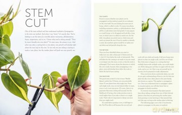 The Propagation Handbook: A guide to propagating houseplants - Hilton Carter [KSIĄŻKA]