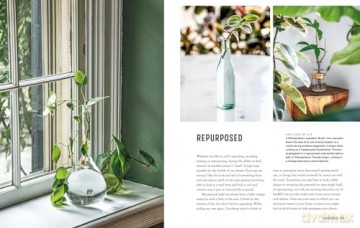 The Propagation Handbook: A guide to propagating houseplants - Hilton Carter [KSIĄŻKA]
