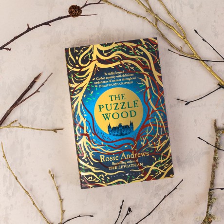 The Puzzle Wood: The mesmerising new dark tale from the author of the Sunday Times bestseller, The Leviathan - Rosie Andrews [KSIĄŻKA]