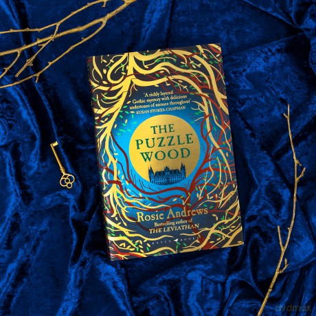 The Puzzle Wood: The mesmerising new dark tale from the author of the Sunday Times bestseller, The Leviathan - Rosie Andrews [KSIĄŻKA]