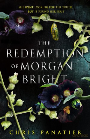 The Redemption of Morgan Bright - Chris Panatier [KSIĄŻKA]