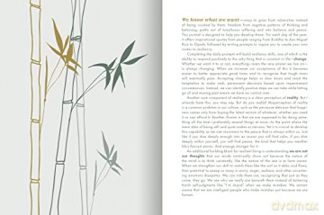 The Resilience Journal: 365 Days to Balance and Peace of Mind - Sandra E. Johnson LMSW [KSIĄŻKA]