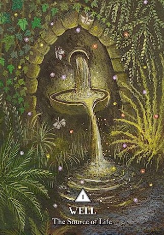 The Rooted Woman Oracle: A 53-Card Deck and Guidebook - Sharon Blackie [KSIĄŻKA]