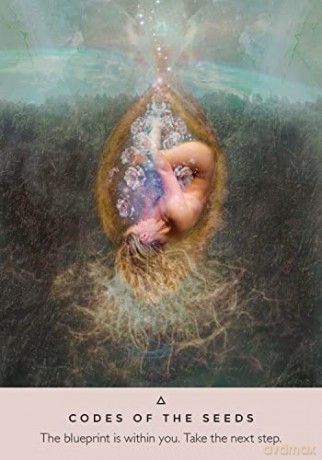 The Rose Oracle: A 44-Card Deck and Guidebook - Rebecca Campbell [KSIĄŻKA]