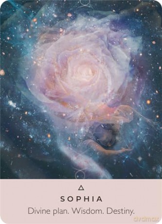 The Rose Pocket Oracle: A 44-Card Deck and Guidebook - Rebecca Campbell [KSIĄŻKA]