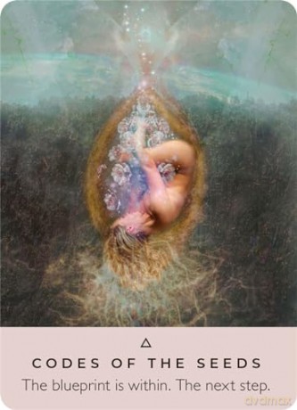 The Rose Pocket Oracle: A 44-Card Deck and Guidebook - Rebecca Campbell [KSIĄŻKA]