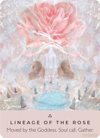 The Rose Pocket Oracle: A 44-Card Deck and Guidebook - Rebecca Campbell [KSIĄŻKA]