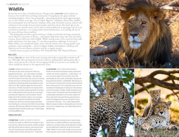 The Rough Guide to Kenya: Travel Guide with Free eBook (Rough Guides Main Series) - Rough Guides [KSIĄŻKA]