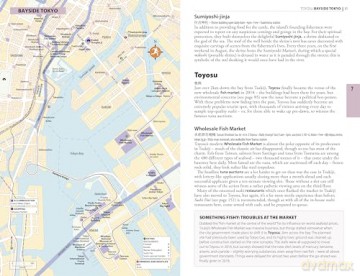 The Rough Guide to Tokyo: Travel Guide with Free eBook (Rough Guides Main Series) - Rough Guides [KSIĄŻKA]