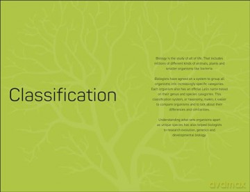 The Science Museum Biology 100 Ideas in 100 Words: A Whistle-Stop Tour of Key Concepts - Eva Amsen [KSIĄŻKA]