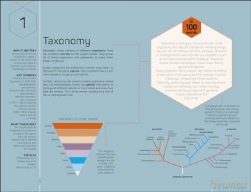 The Science Museum Biology 100 Ideas in 100 Words: A Whistle-Stop Tour of Key Concepts - Eva Amsen [KSIĄŻKA]