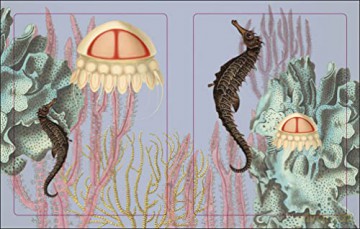 The Seashore Sticker Anthology: With More Than 1,000 Vintage Stickers - Dk [KSIĄŻKA]