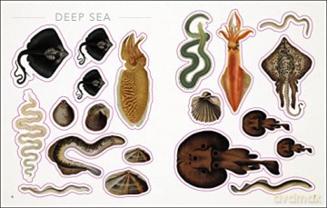 The Seashore Sticker Anthology: With More Than 1,000 Vintage Stickers - Dk [KSIĄŻKA]