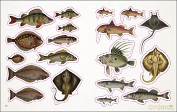 The Seashore Sticker Anthology: With More Than 1,000 Vintage Stickers - Dk [KSIĄŻKA]