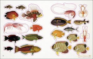 The Seashore Sticker Anthology: With More Than 1,000 Vintage Stickers - Dk [KSIĄŻKA]