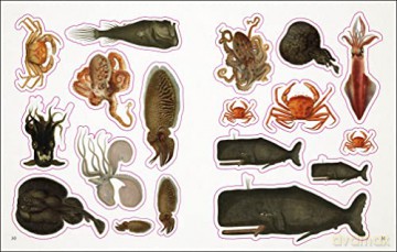 The Seashore Sticker Anthology: With More Than 1,000 Vintage Stickers - Dk [KSIĄŻKA]
