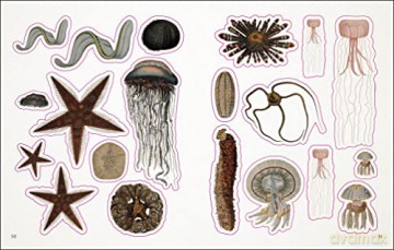 The Seashore Sticker Anthology: With More Than 1,000 Vintage Stickers - Dk [KSIĄŻKA]