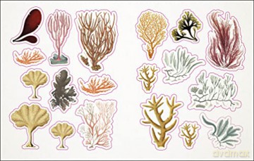 The Seashore Sticker Anthology: With More Than 1,000 Vintage Stickers - Dk [KSIĄŻKA]