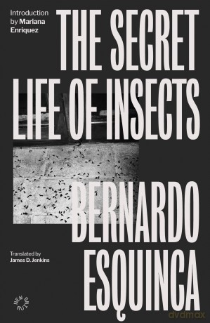 The Secret Life of Insects - Bernardo Esquinca [KSIĄŻKA]