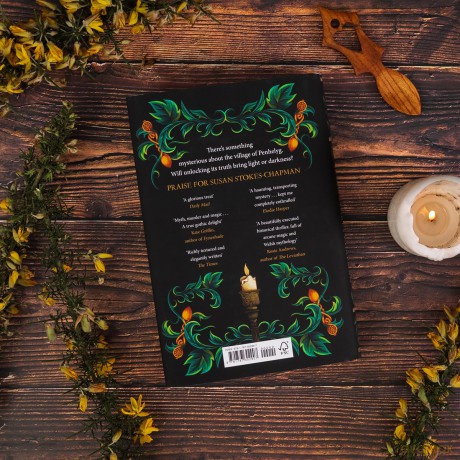 The Shadow Key: The gripping new gothic novel from the author of Pandora - Susan Stokes-Chapman [KSIĄŻKA]