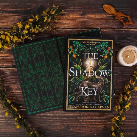 The Shadow Key: The gripping new gothic novel from the author of Pandora - Susan Stokes-Chapman [KSIĄŻKA]