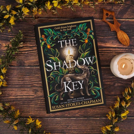 The Shadow Key: The gripping new gothic novel from the author of Pandora - Susan Stokes-Chapman [KSIĄŻKA]