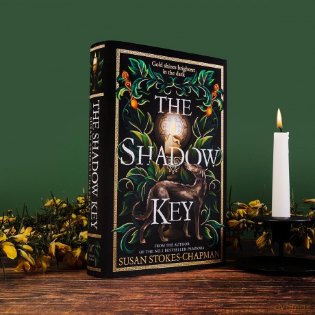 The Shadow Key: The gripping new gothic novel from the author of Pandora - Susan Stokes-Chapman [KSIĄŻKA]