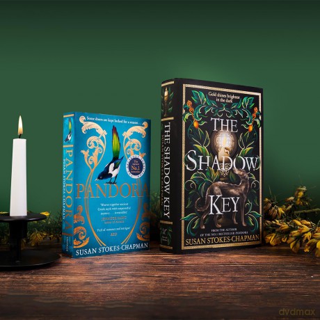 The Shadow Key: The gripping new gothic novel from the author of Pandora - Susan Stokes-Chapman [KSIĄŻKA]
