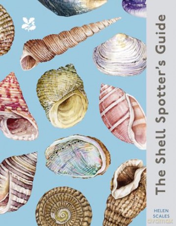 The Shell Spotter's Guide: Every shell has a story to tell. Discover the secrets of these treasures of the sea (National Trust) - Helen Scales [KSIĄŻKA]