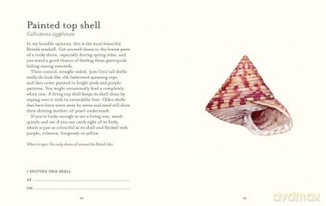 The Shell Spotter's Guide: Every shell has a story to tell. Discover the secrets of these treasures of the sea (National Trust) - Helen Scales [KSIĄŻKA]