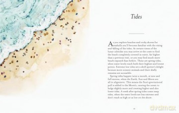 The Shell Spotter's Guide: Every shell has a story to tell. Discover the secrets of these treasures of the sea (National Trust) - Helen Scales [KSIĄŻKA]